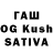 Галлюциногенные грибы GOLDEN TEACHER Mahammad Akrayi