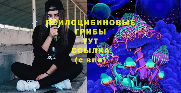 соль ск Ладушкин