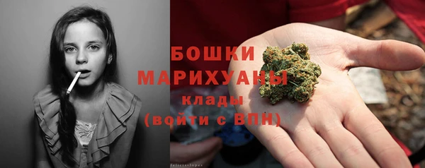 дживик Алапаевск